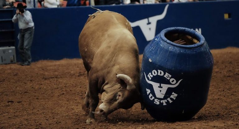 Deux semaines de rodéo à Austin en mars