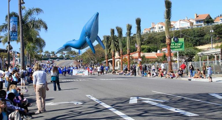 Dana Point Festival of Whales: deux week-ends pour voir les baleines
