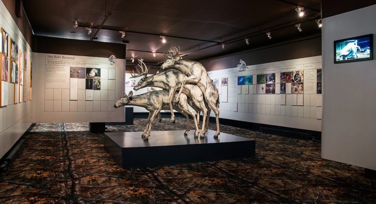 5 expos à faire au printemps à New York