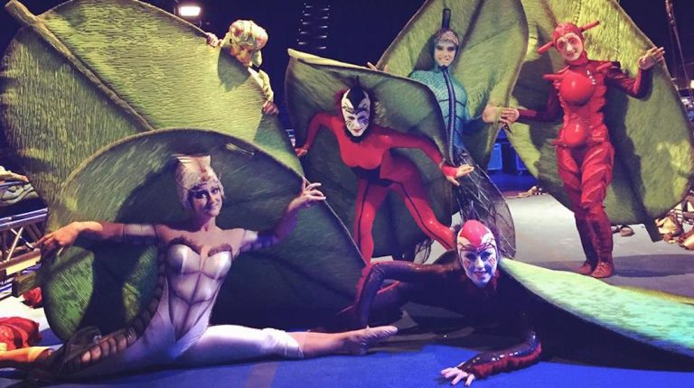 Le Cirque du Soleil et son spectacle "Ovo" débarquent à Miami