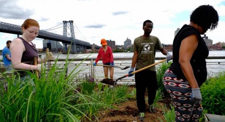 5 associations à rejoindre pour protéger l'environnement à New York