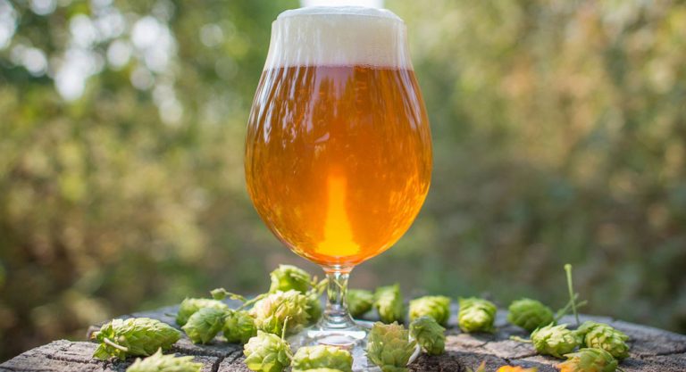 Pourquoi la bière IPA cartonne-t-elle aux US ?
