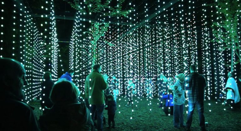 Que faire pour le long week-end de Thanksgiving à Los Angeles ?
