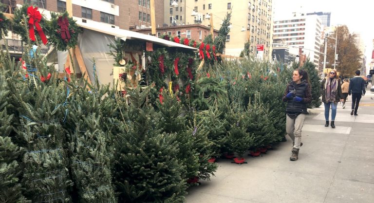 Pourquoi les sapins de Noël à New York sont-ils vendus par des Québécois ?