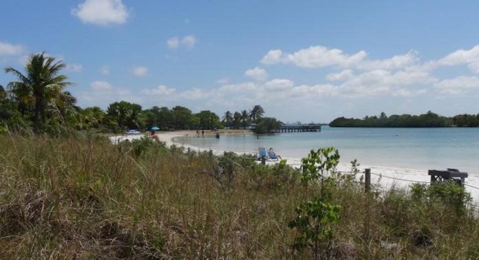 oleta river