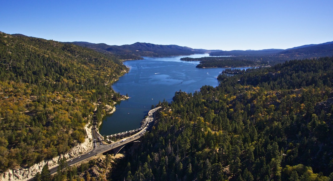 big bear