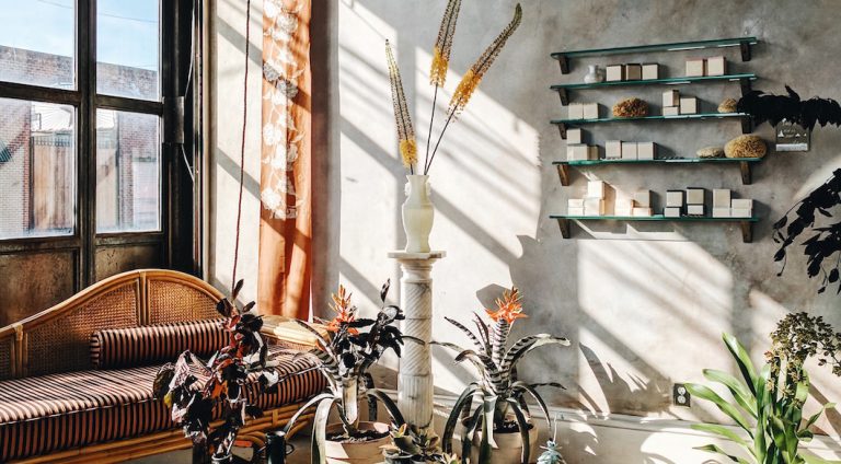 Saipua, un repaire à belles plantes à Red Hook