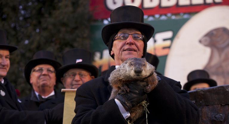 Le jour où une marmotte décide de la durée de l'hiver