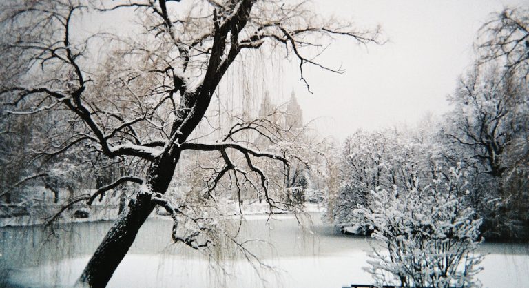 Comment reconnaître un Français sous la neige à New York ?