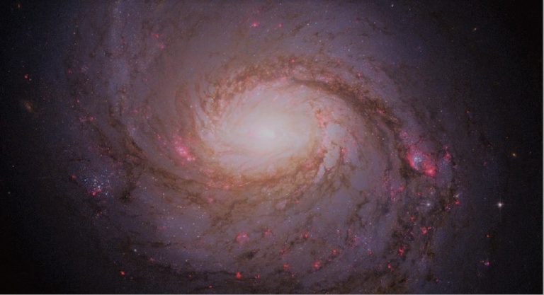 L'Alliance française de Pasadena explore les lois de l'univers