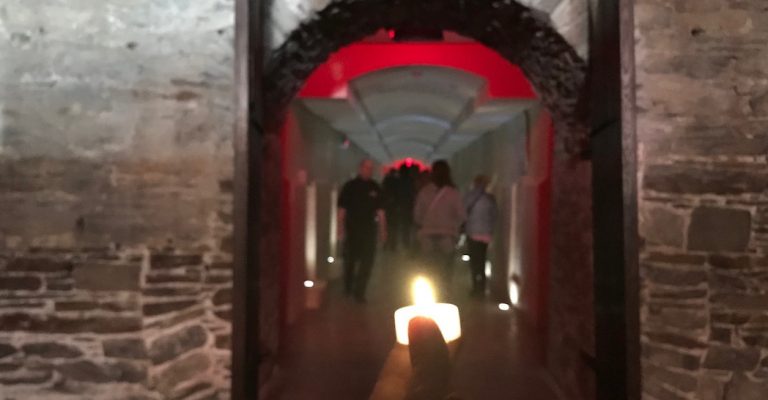 Une visite insolite de la crypte de l'ancienne cathédrale Saint Patrick