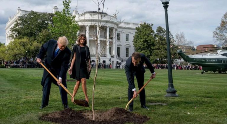 Visite d'Etat à Washington : suivez les temps forts en direct