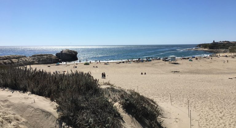 6 plages pour se dorer la pilule dans la baie de San Francisco