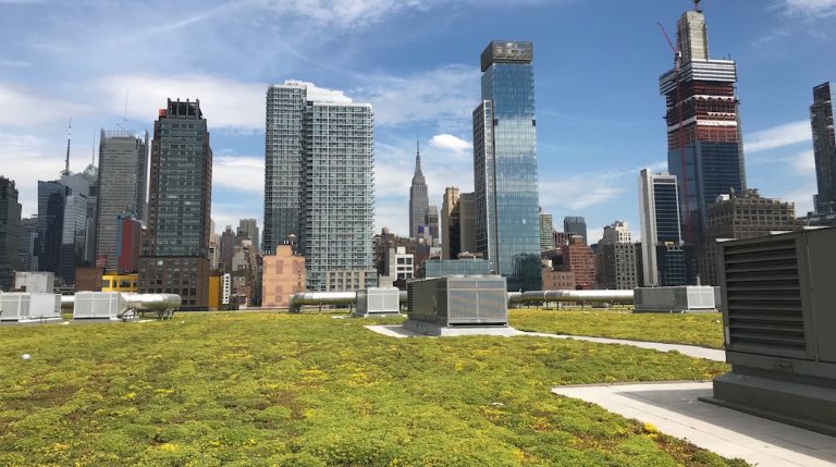 Un rooftop écolo que vous ne connaissez pas encore à New York
