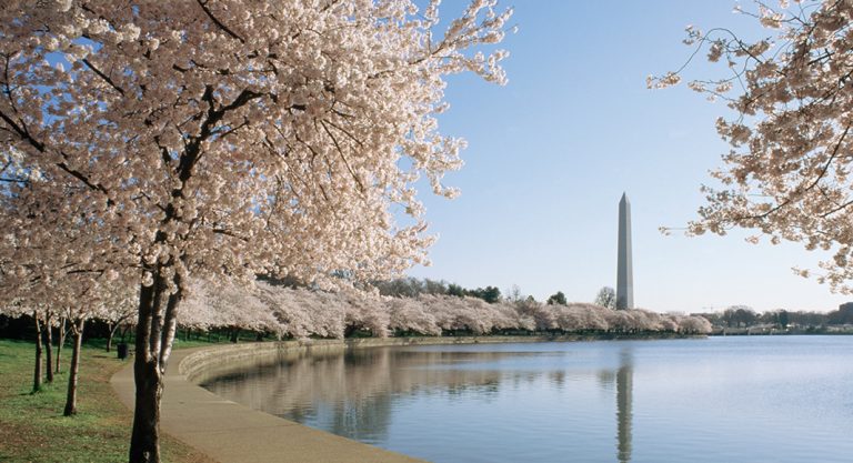 Profitez des offres United Airlines sur vos Washington-Paris