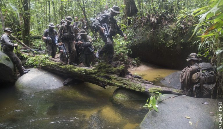 Une expédition dans la forêt guyanaise à Washington