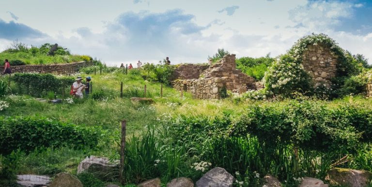 5 parcs et jardins que vous ne connaissiez pas à New York  