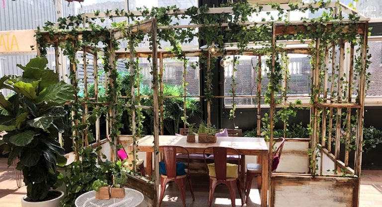 5 rooftops pour les familles à New York