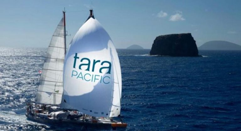 Montez à bord du voilier Tara pendant la Semaine du climat à New York