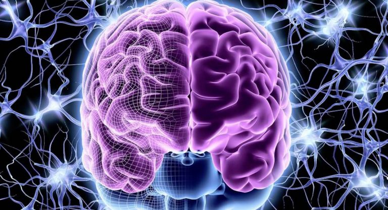 Les étonnantes ressources du cerveau bilingue