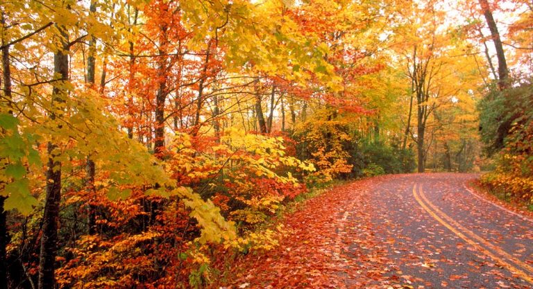3 destinations pour admirer les couleurs de l'automne autour de New York