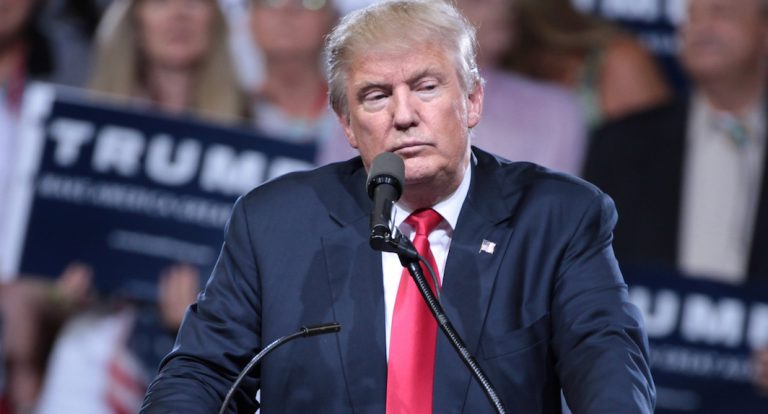 Donald Trump aime bien les Gilets jaunes