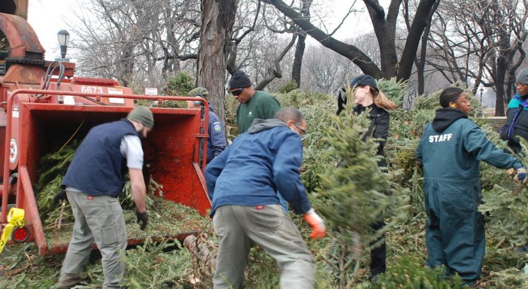 Recyclez votre sapin de Noël avec Mulchfest à New York