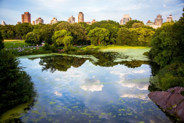 Que faire à New York en mars 2019 ?