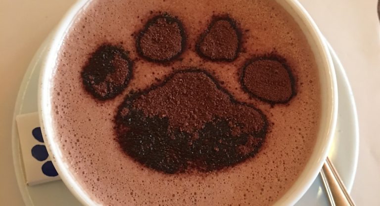 16 adresses où boire un bon chocolat chaud à New York