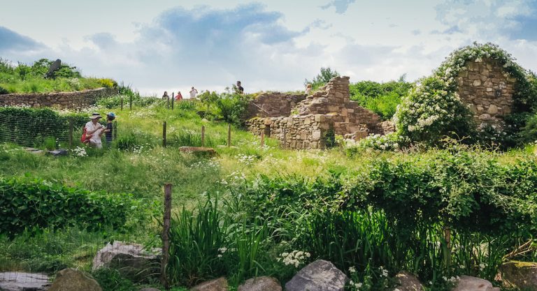4 endroits où célébrer l'histoire irlandaise à New York