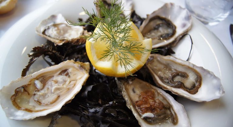 L'huître dans tous ses états à l’Austin Oyster Festival