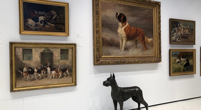 Au Musée du Chien à New York, médor est roi