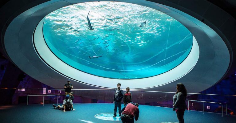 En avril et mai, les musées de Miami cassent les prix