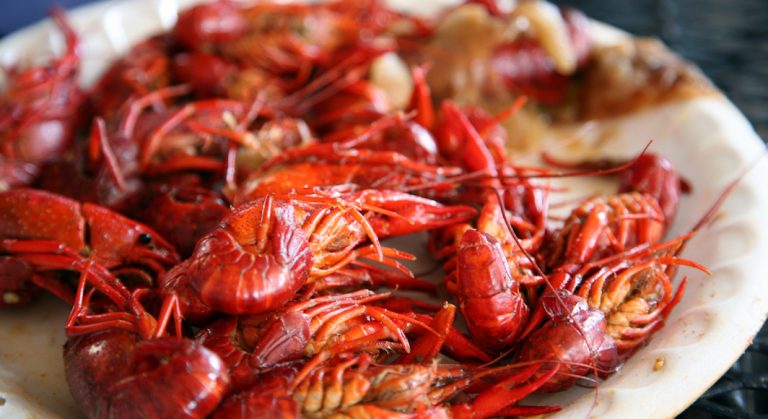 8 endroits où manger des écrevisses à Houston