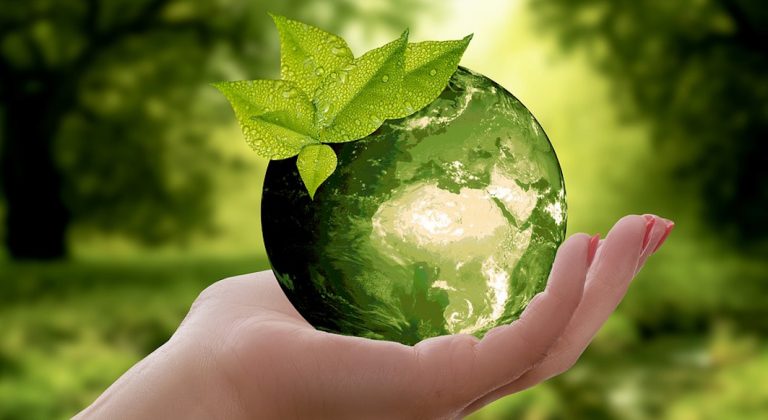 Un forum franco-américain sur le développement durable à New York