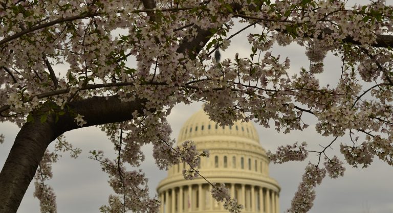 Une journée à Washington avec moins de 50 dollars
