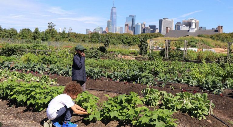 6 activités sur Governors Island en 2019