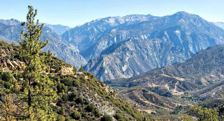 4 choses à faire dans les parcs nationaux Sequoia et Kings Canyon