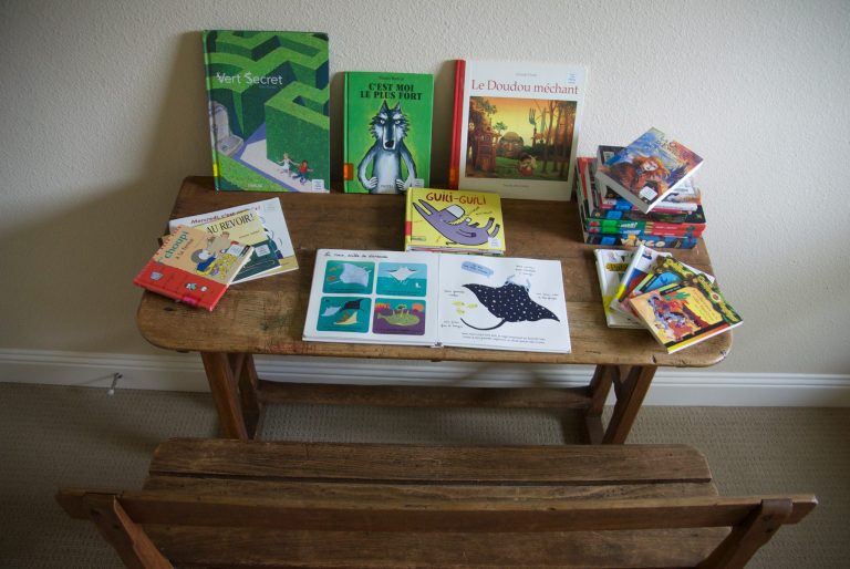 "Les Petits Livres", une grande bibliothèque française aux Etats-Unis