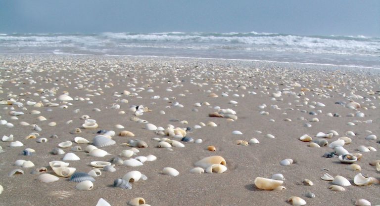 Où aller à la plage au Texas ?
