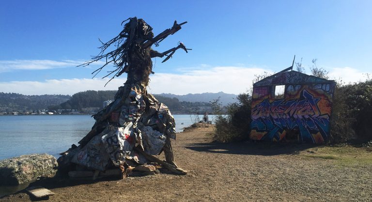 4 sorties à faire dans l'East Bay