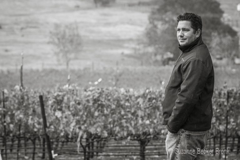 Vino, Vidi, Vici, épisode 5: Julien Fayard, le "king" du rosé dans la Napa Valley