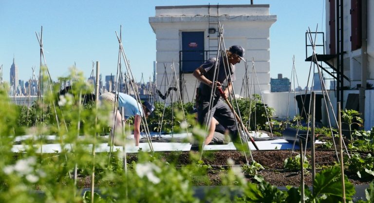 8 endroits sans touristes à New York