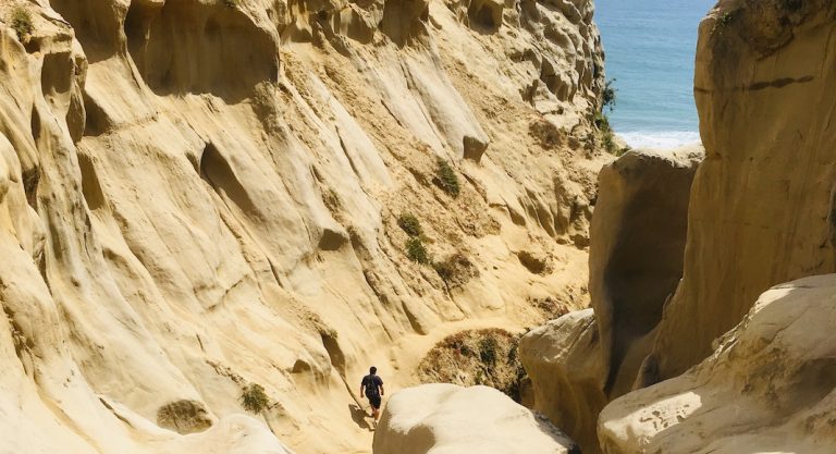 Six lieux pour découvrir San Diego autrement