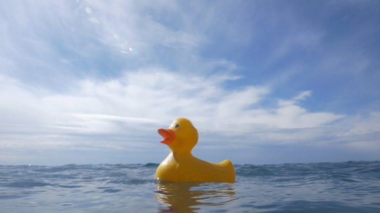 Conférence franco-américaine sur le plastique dans les océans à Washington