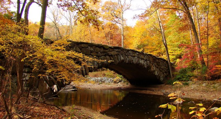 Où voir les plus beaux paysages d’automne à Washington et autour ?