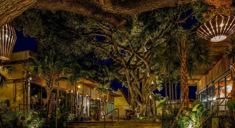 Pétanque, business et Martinique: le programme des French Weeks 2019 à Miami