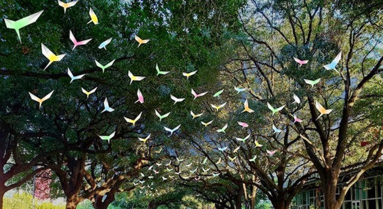 Les oiseaux magiques de l'exposition Paloma à Houston