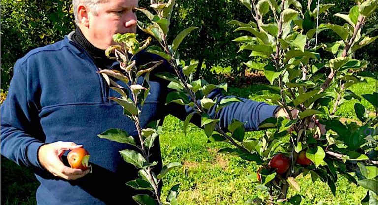 Le cidre arrive au Texas