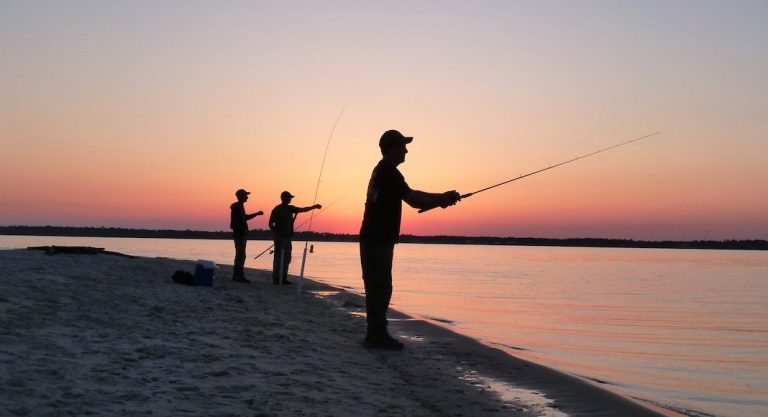 La pêche à Miami, mode d’emploi